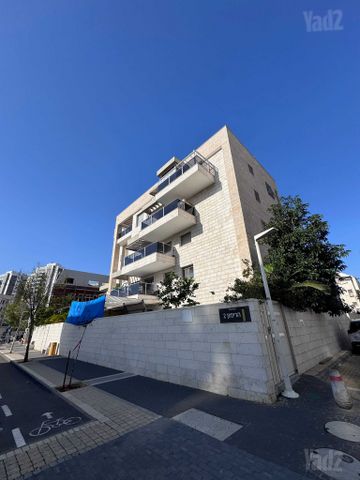 רימון 6