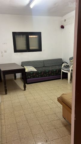הנביאים 43