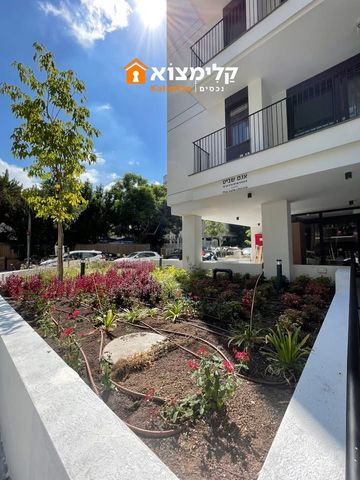 הצפון החדש - כיכר המדינה