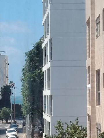 הרב קוקיס 