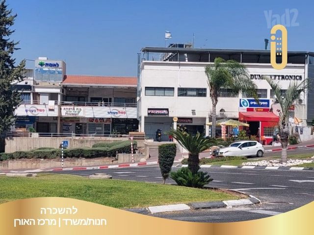 הזית 1