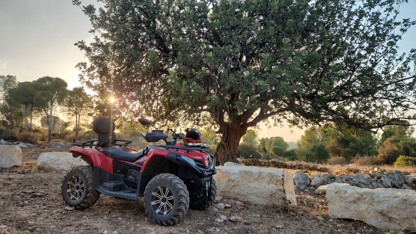 מודעת רכב CFMOTO