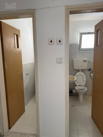 הנורית 7