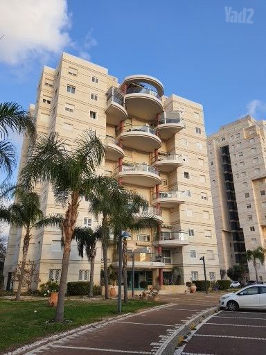 חבצלת 13