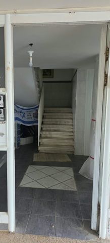 צבי ש"ץ 1