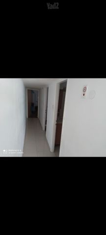 אריה שנקר 39