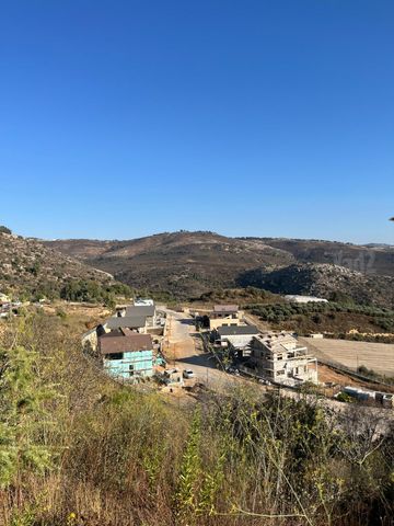 נפתלי 1