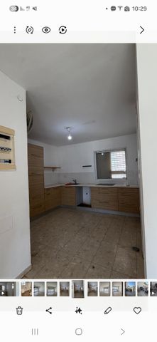 תמר 23