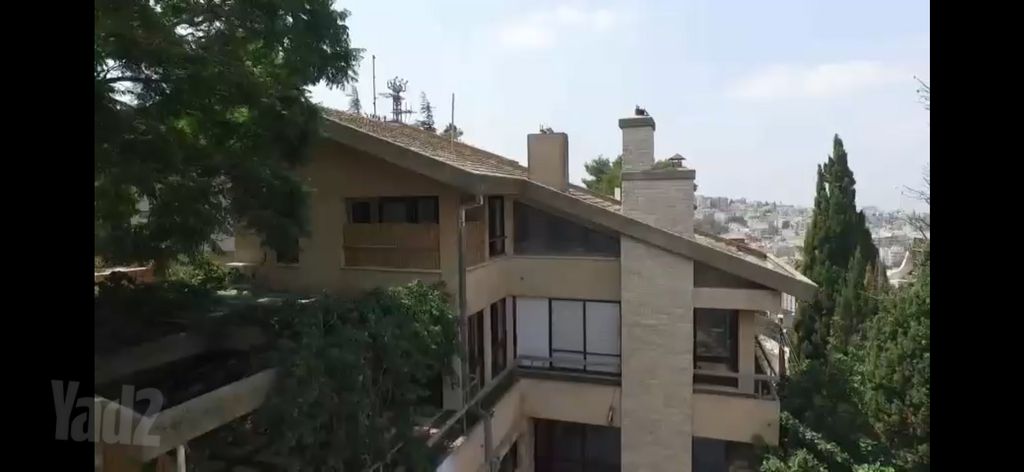נטופה 40