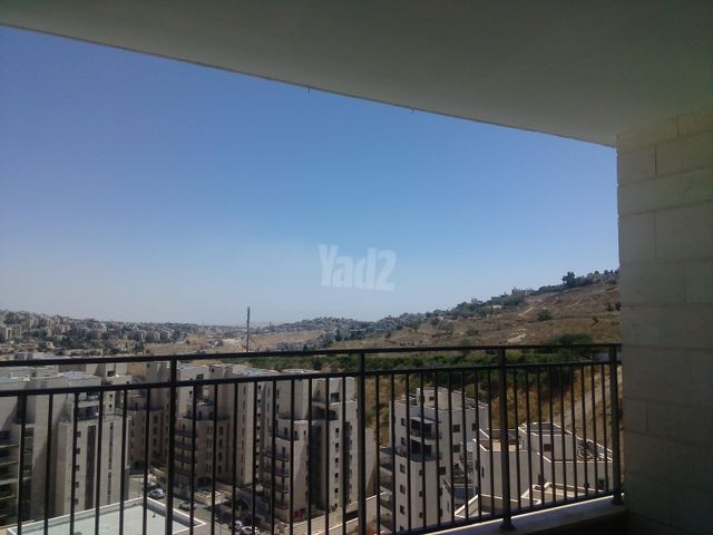 פרופסור יעקב נאמן 1