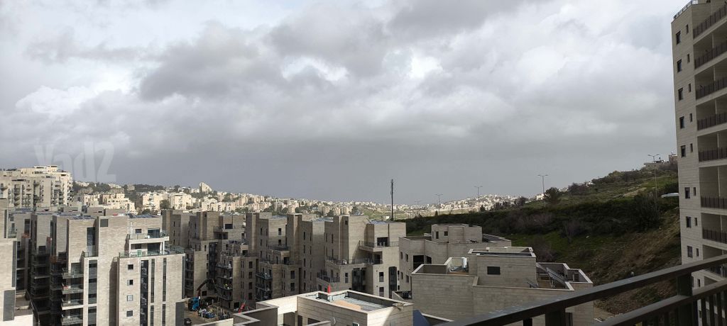 פרופסור יעקב נאמן 6