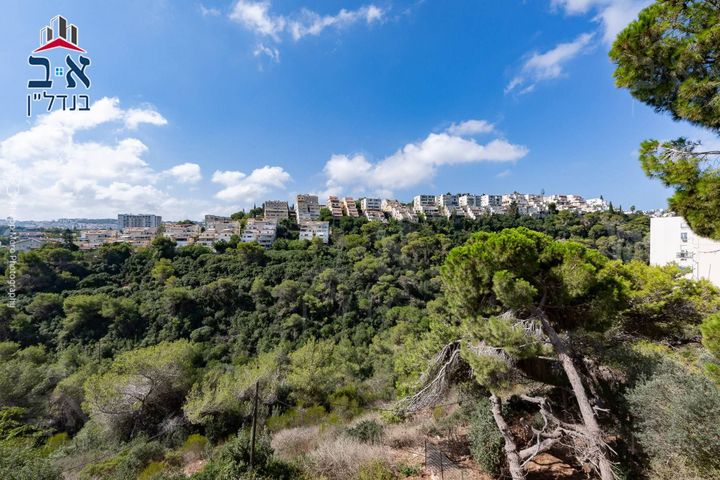 כרמל מרכזי - שד' קיש