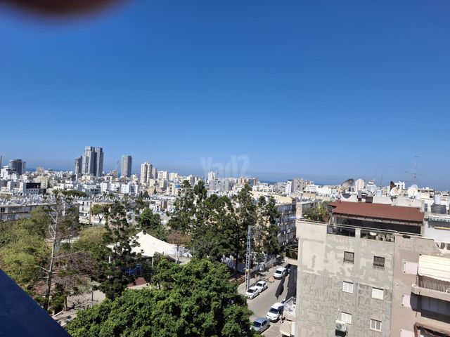 החשמונאים 