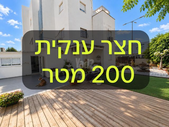 הרב צבאן 