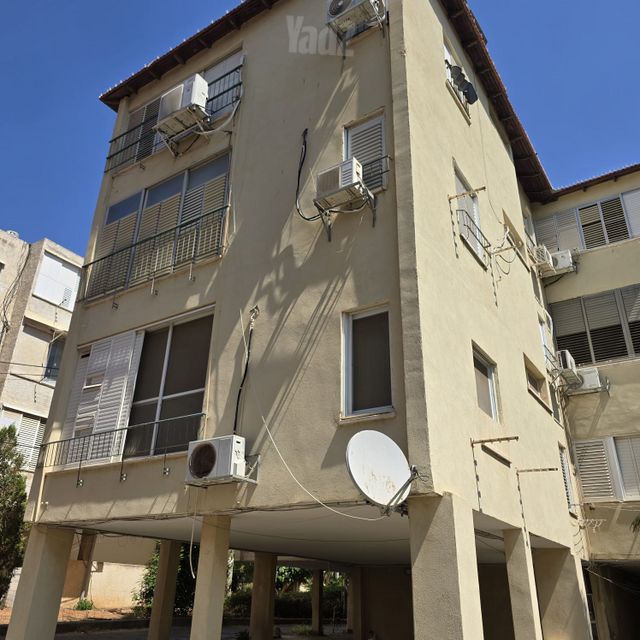 אלי כהן 20