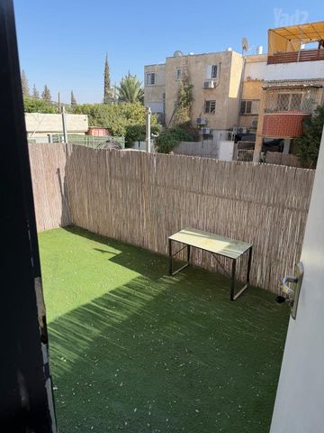 דוד המלך 25