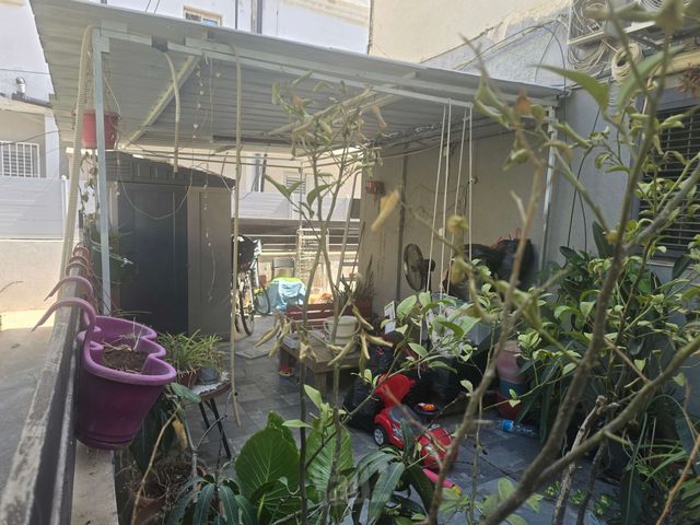 דירת גן להשכרה בתל אביב יפו (תיווך)