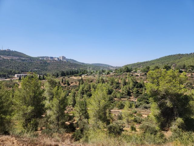 דרך האגם 29