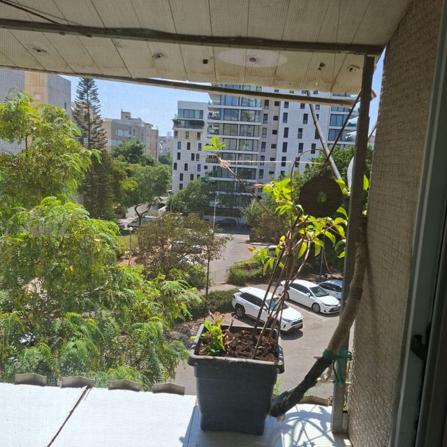 דירה למכירה בתל אביב יפו — 2
