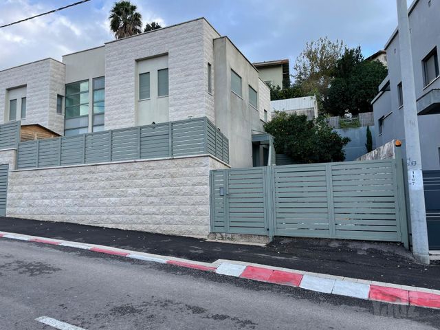 חבצלת 15