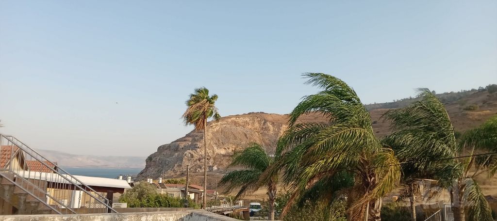 טולידאנו 6