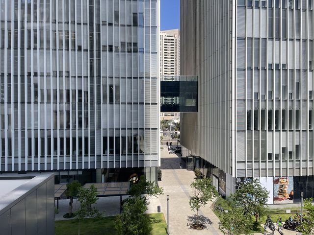 דירה להשכרה בתל אביב יפו — 2