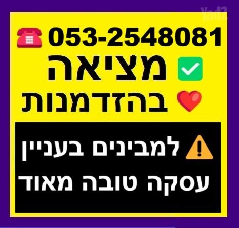 שלמה כהן 