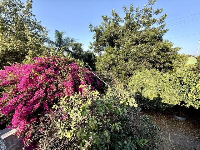 דירה, נוף ים, הרצליה