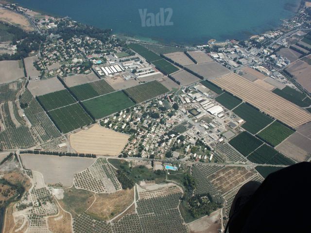 מגרשים