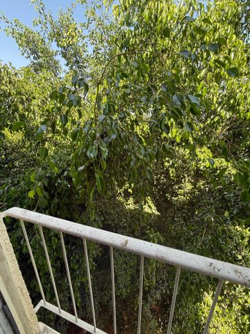 Ramat Gan, Israel 8