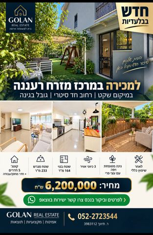 נווה דוד רמז