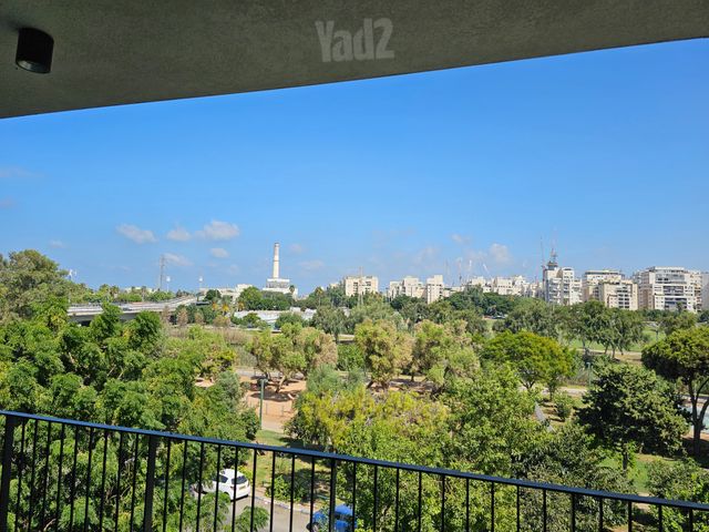 ברנדייס 