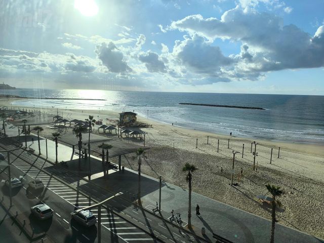 דירה להשכרה בתל אביב יפו (תיווך) — 2