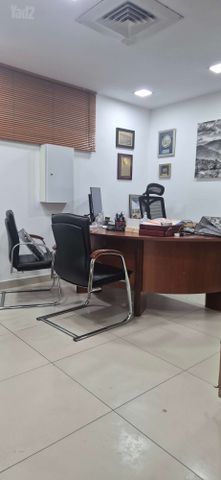 הכשרת היישוב 