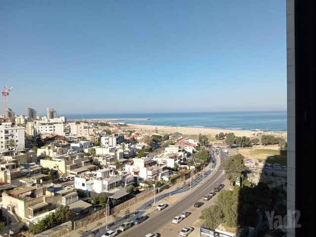 הדקל 5