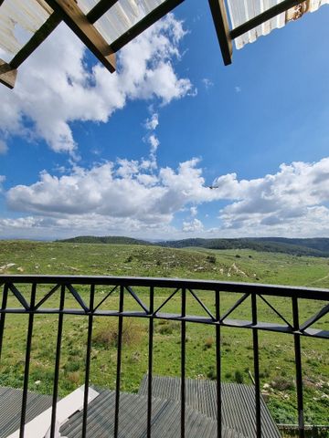 אורטל 17