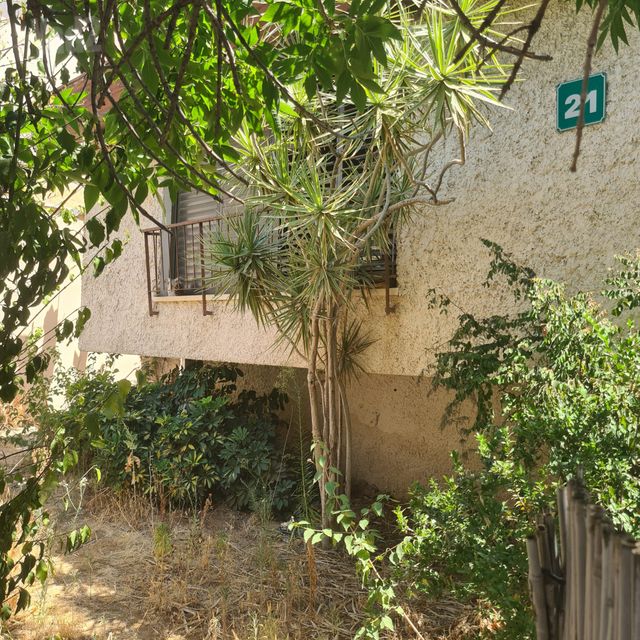 המיתר 21