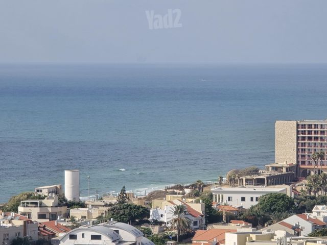 הרב הרצוג 8