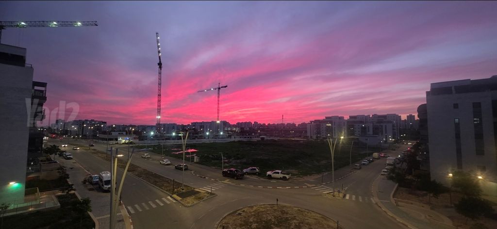 (עסיס (ענבים 25
