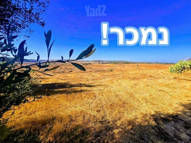 משק חקלאי/ נחלה