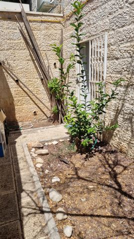 בית פרטי/ קוטג' למכירה בירושלים (תיווך) — 2