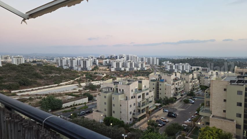 זית 