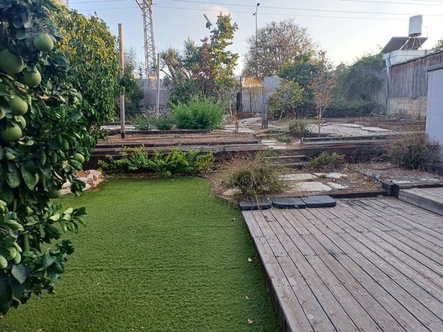 ויתקין 