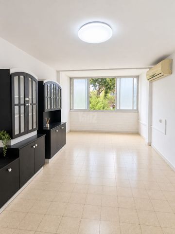 הנשיא וייצמן 16