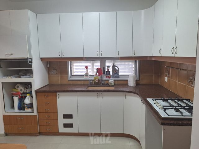 חיים צבי גרינשטיין 