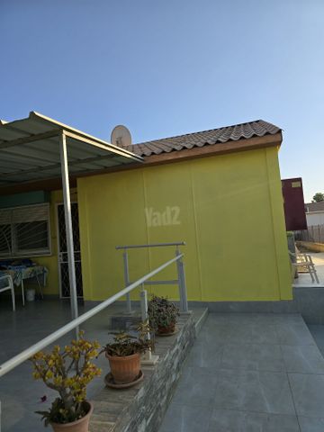 תלמה ילין 31