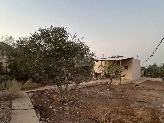 יפית 1