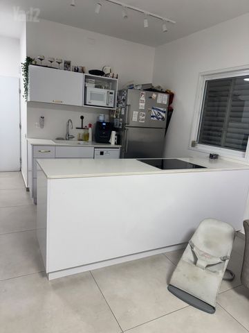 זאב ז'בוטינסקי 42