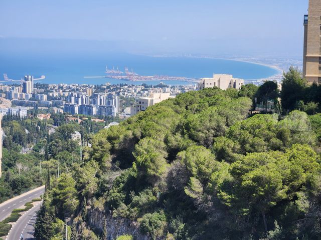 ד"ר ארתור בירם 