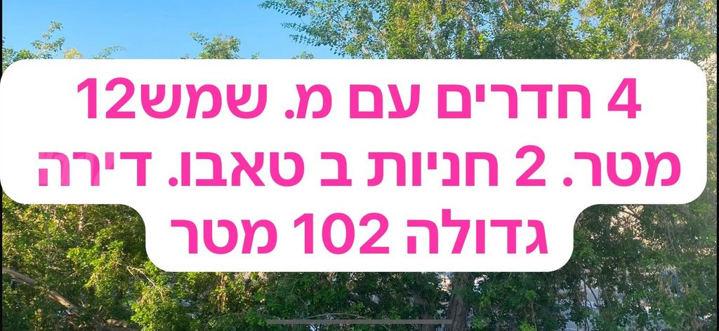 הצופים 10